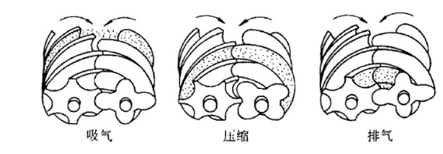 回到最初：螺杆压缩机的原理介绍(图1)