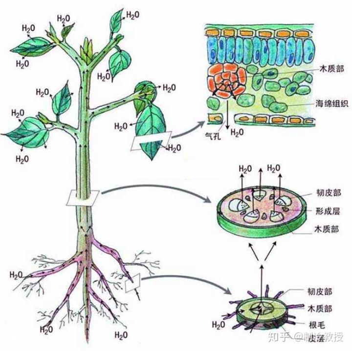 果蔬冷库低温保鲜奥秘是什么？(图6)