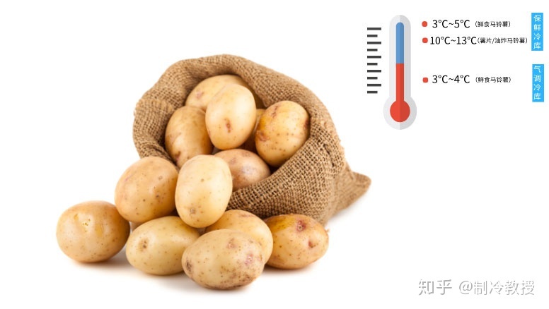 马铃薯（土豆）冷库存储这样做，储藏300天不坏！(图4)