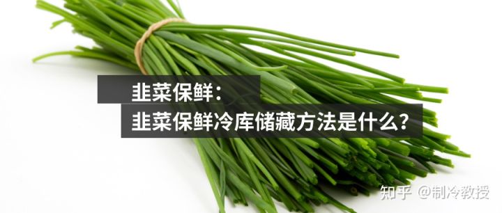 “壮阳草”韭菜保鲜60不腐烂是怎么做到的？(图1)